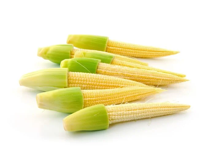 Jagung muda/puyren pack