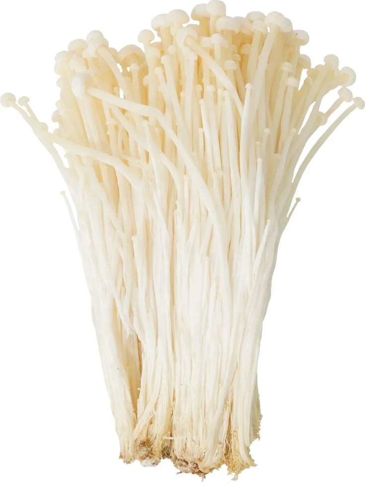Jamur enoki pack