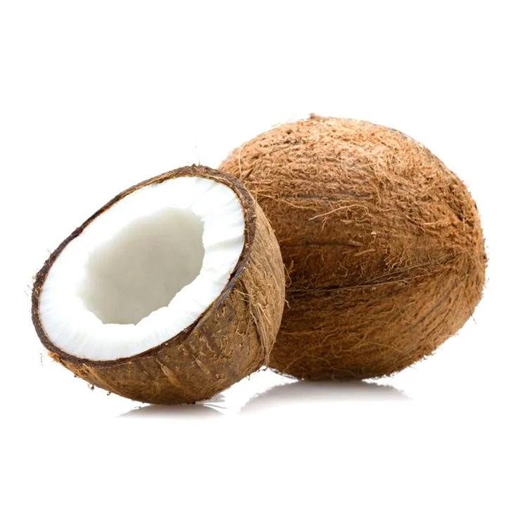 Kelapa
