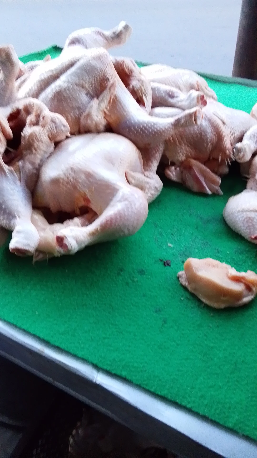Ayam potong