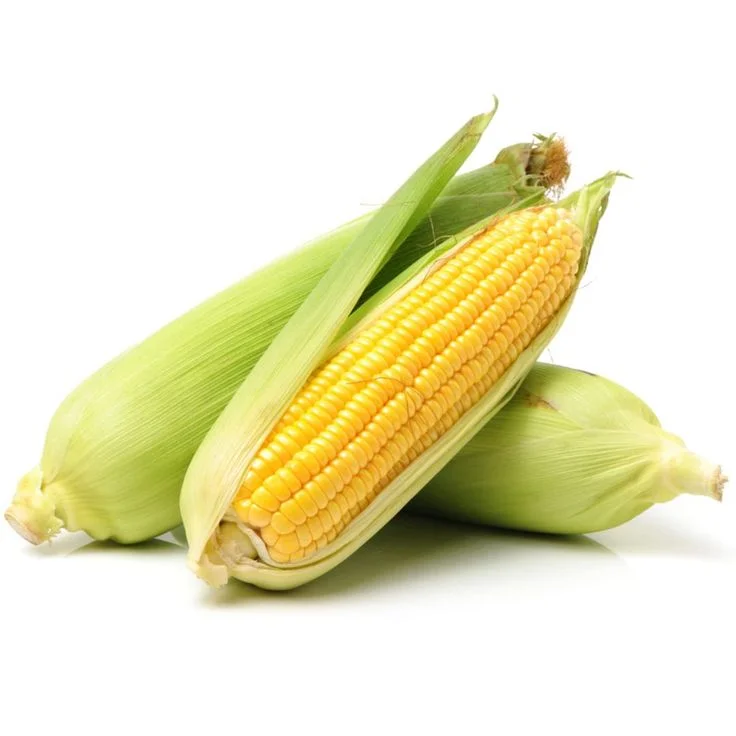 Jagung manis