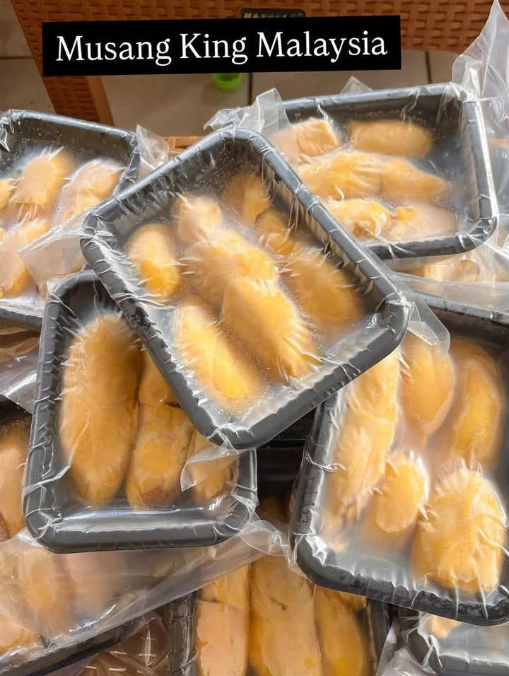 Durian musangking Malaysia