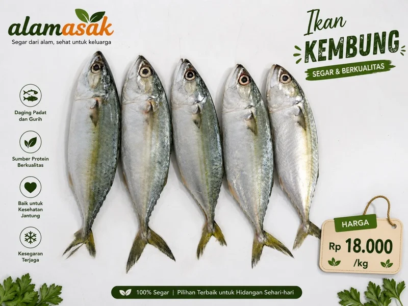 Ikan Kembung