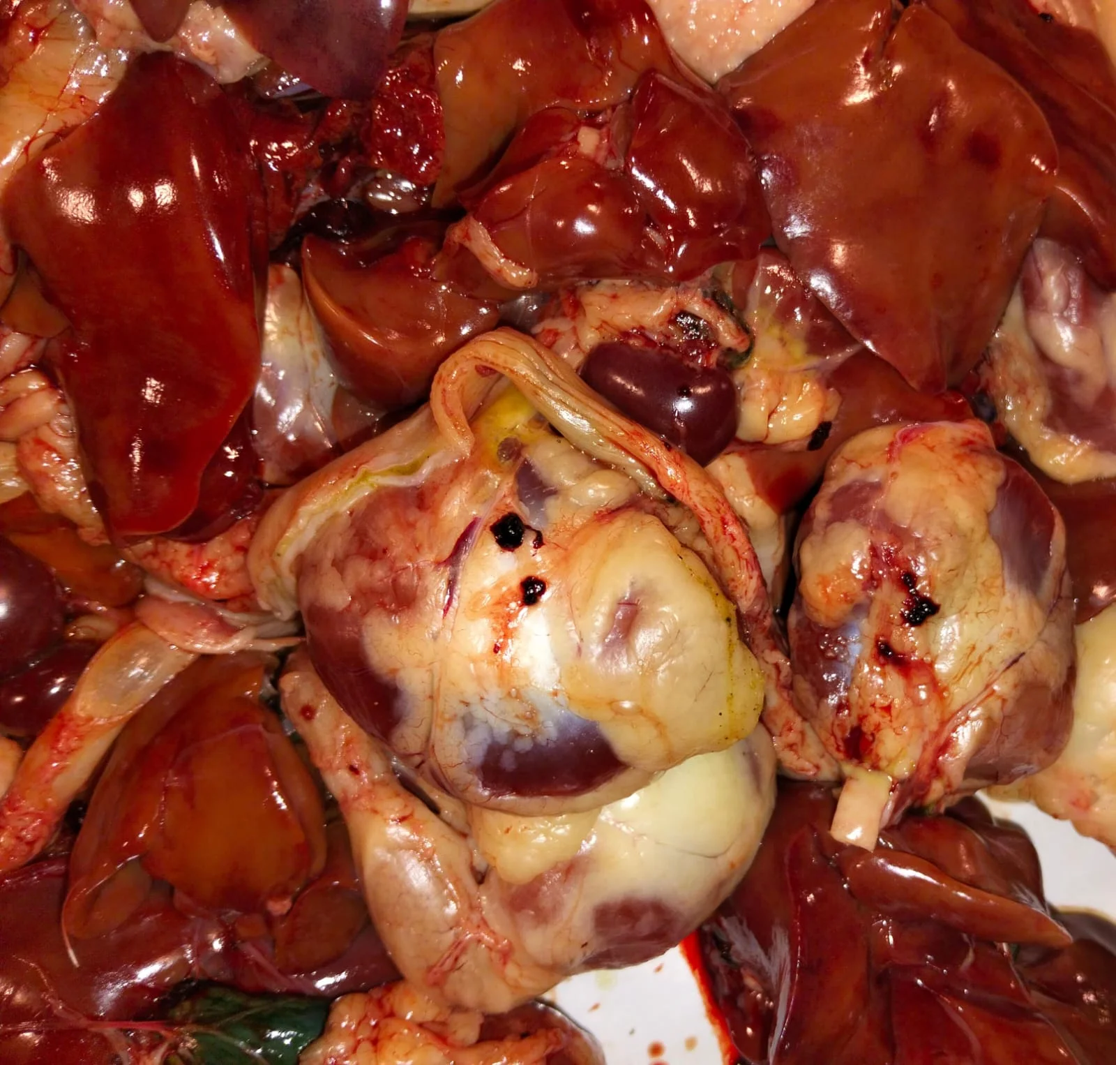 Hati & Ampla Ayam