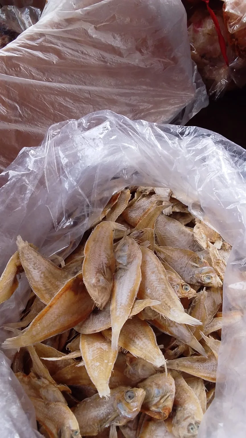 Ikan asin