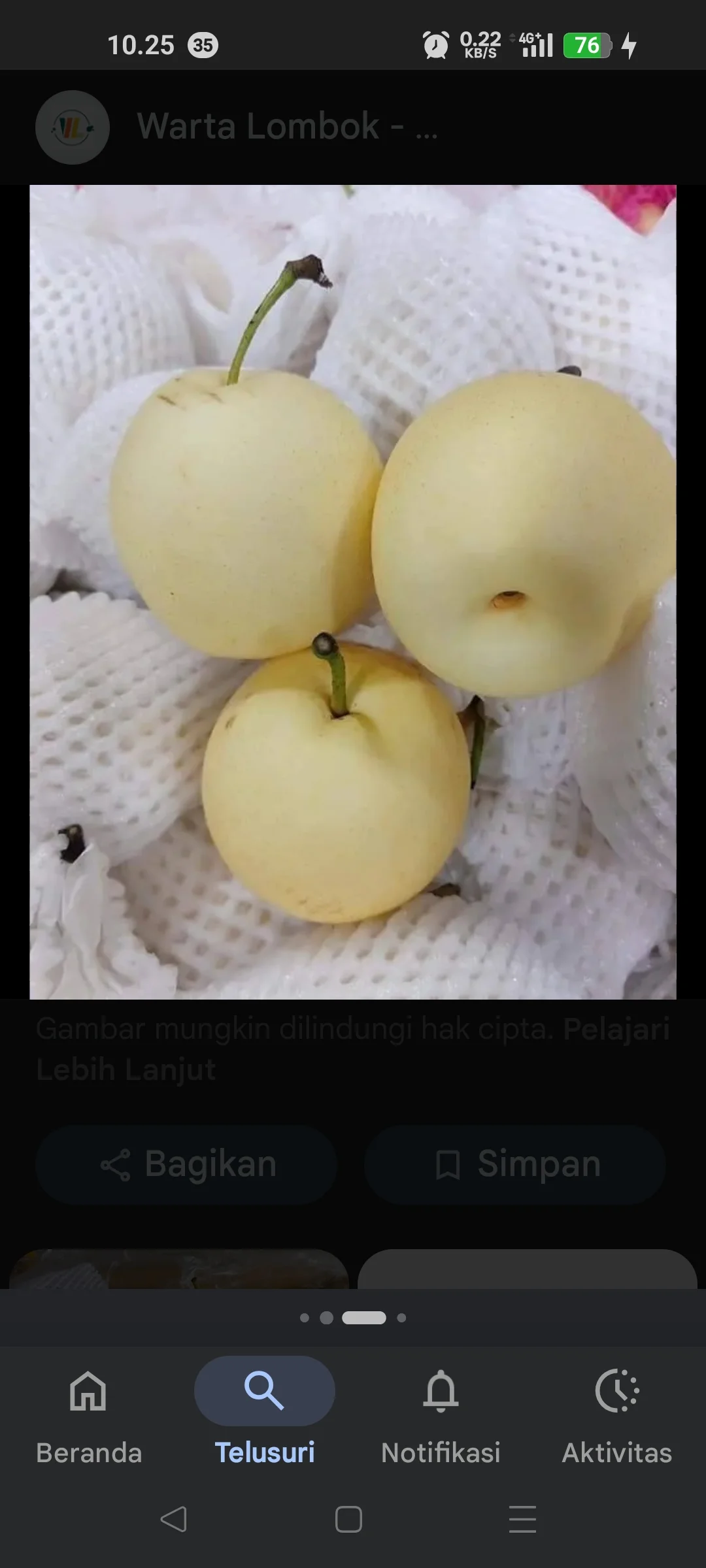 Buah Pir