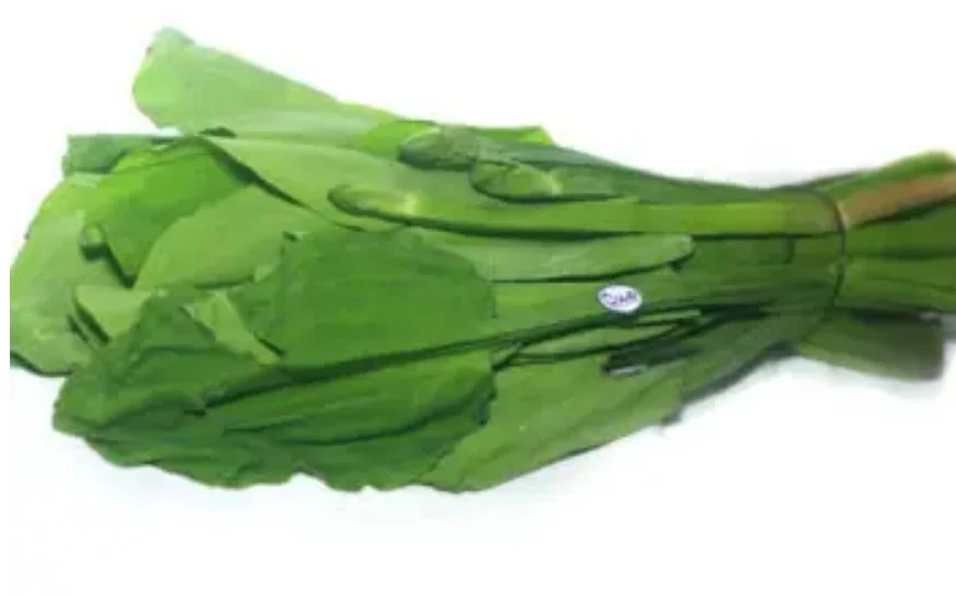 Genjer
