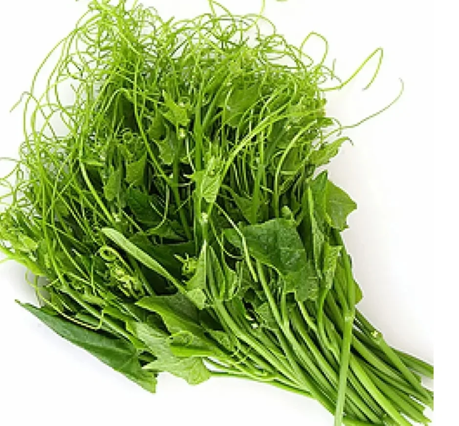Daun Labu