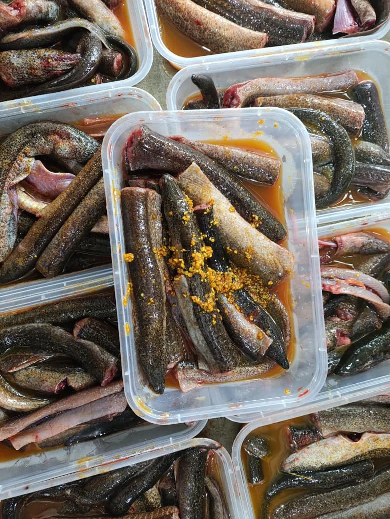 Belut Marinasi