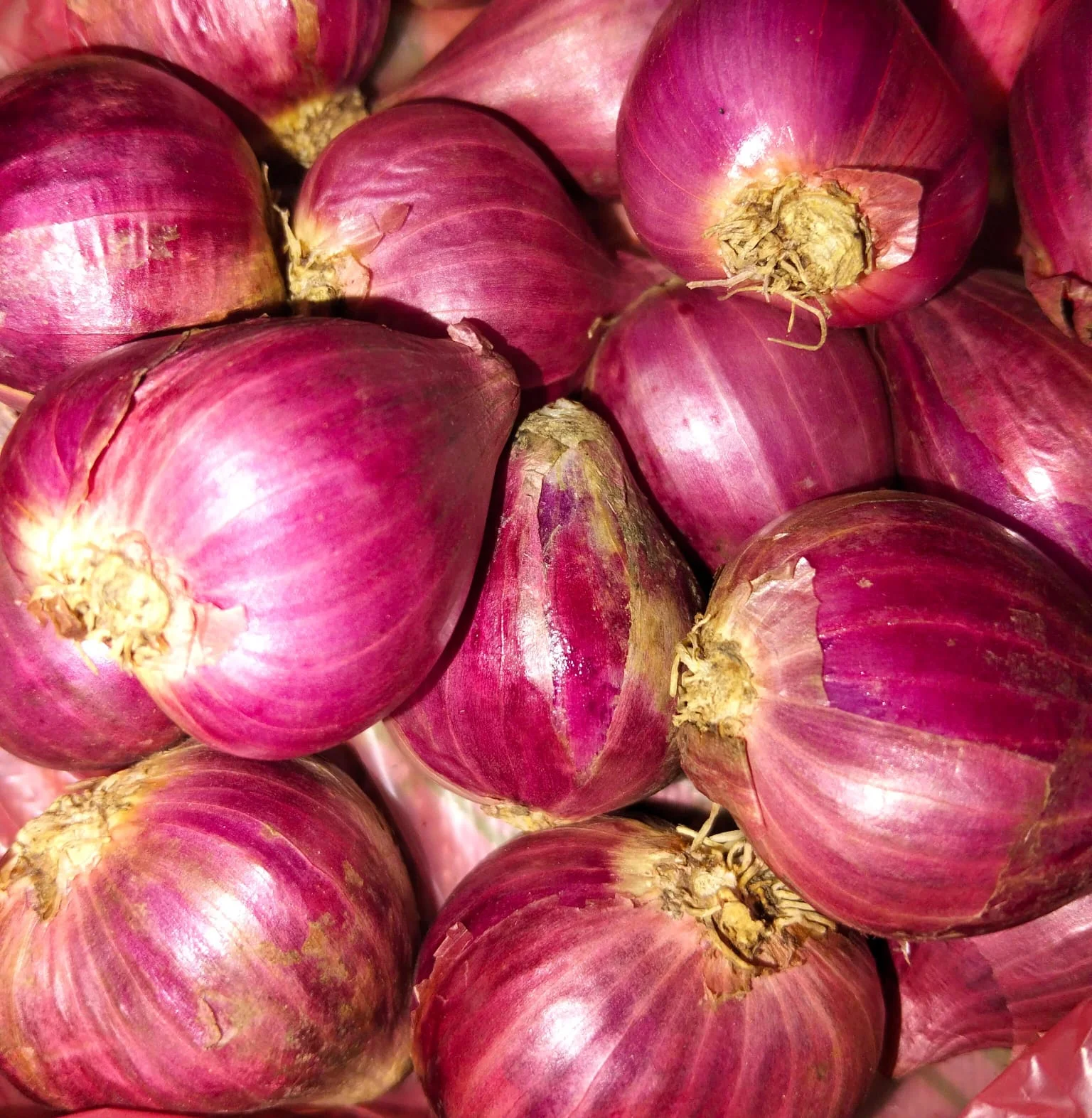 Bawang Merah Brebes