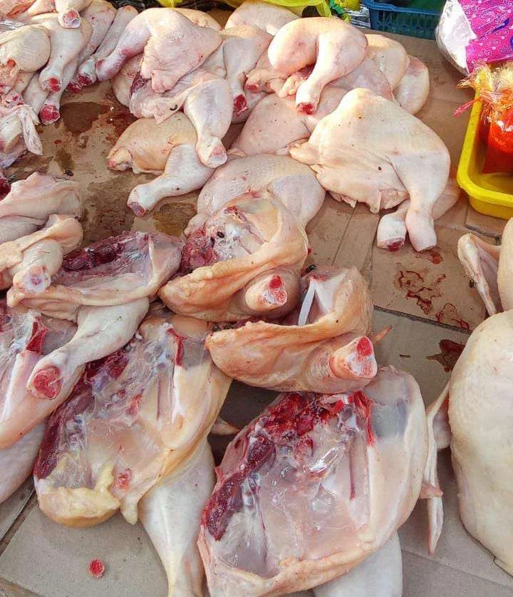 Ayam negeri