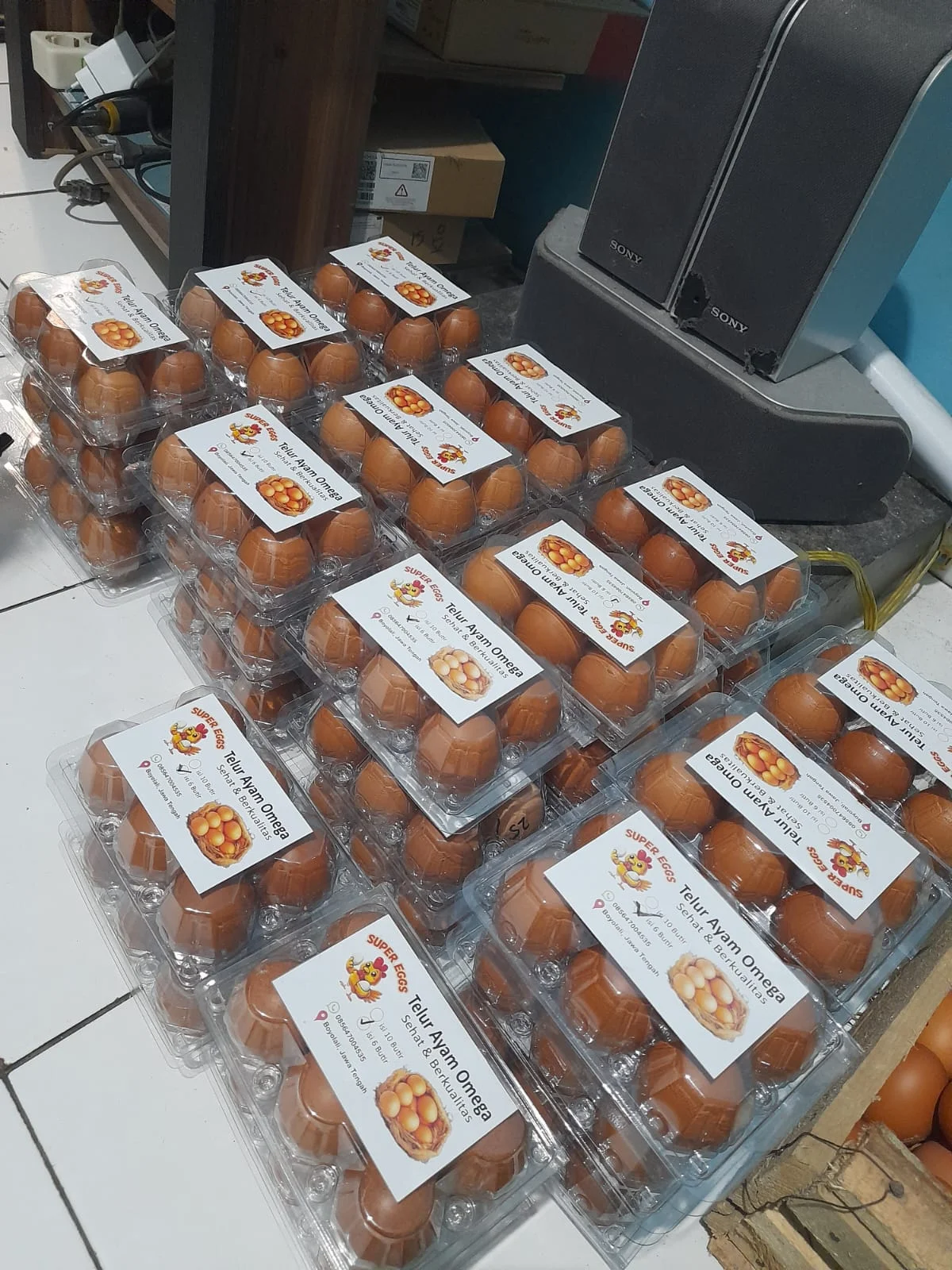 Telur omega