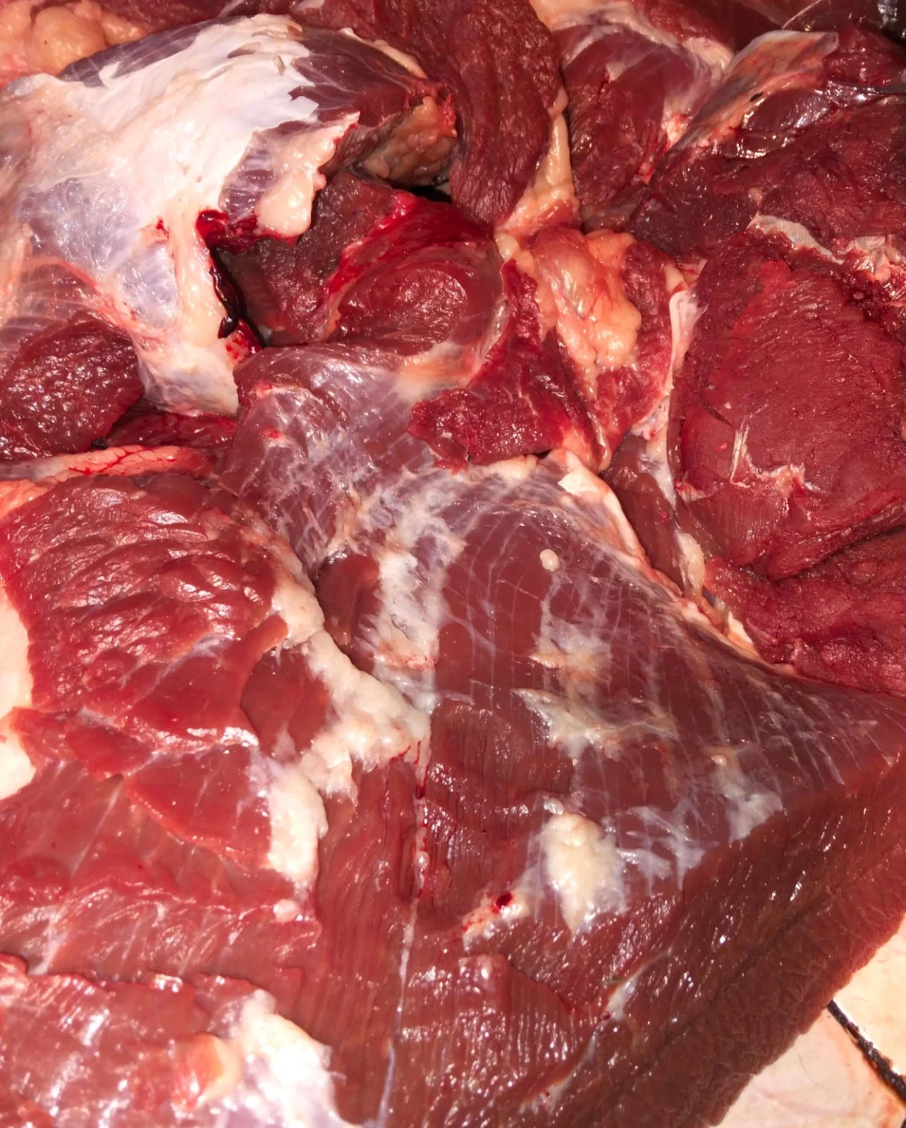 Daging Sapi