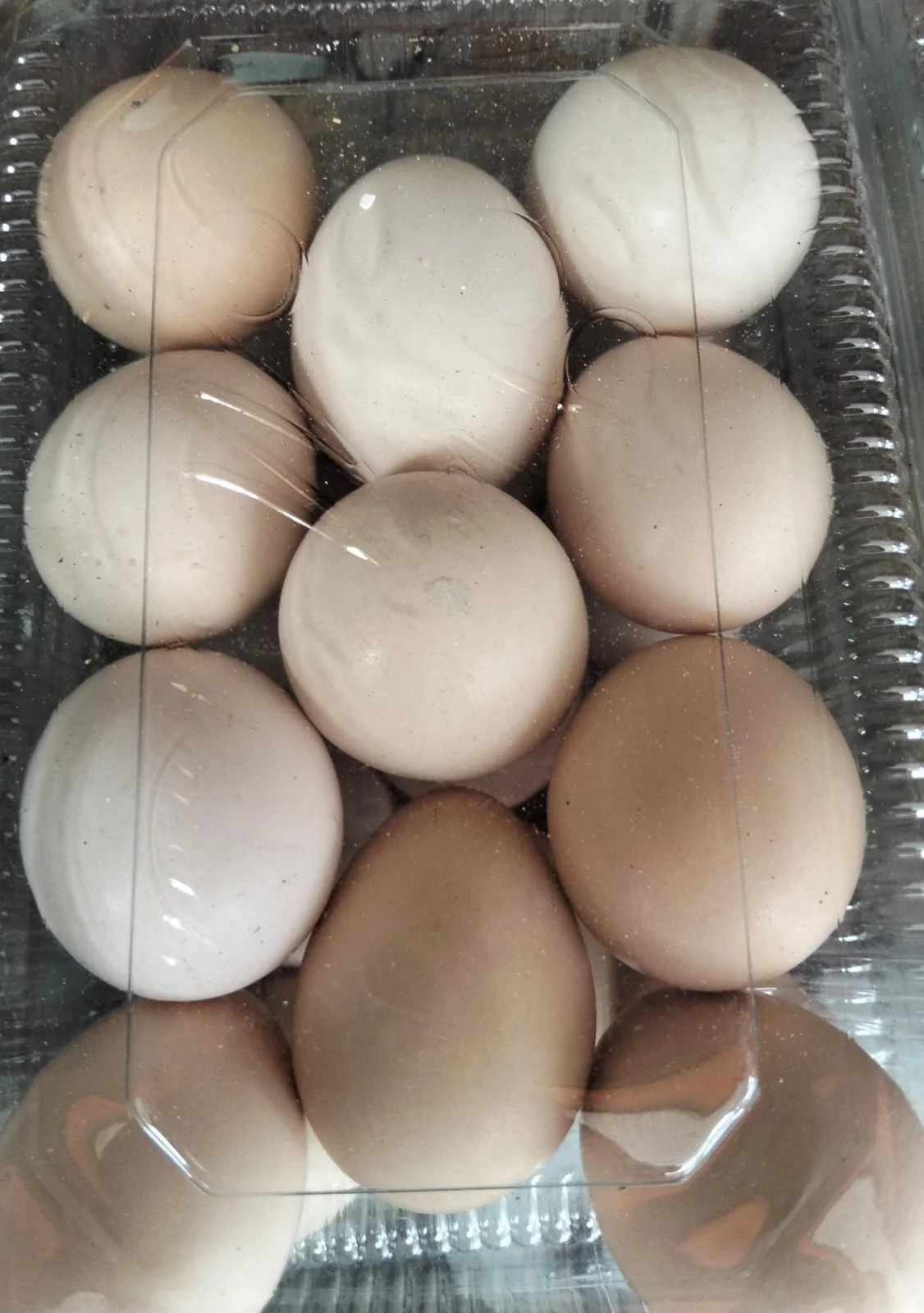 Telur Ayam Kampung