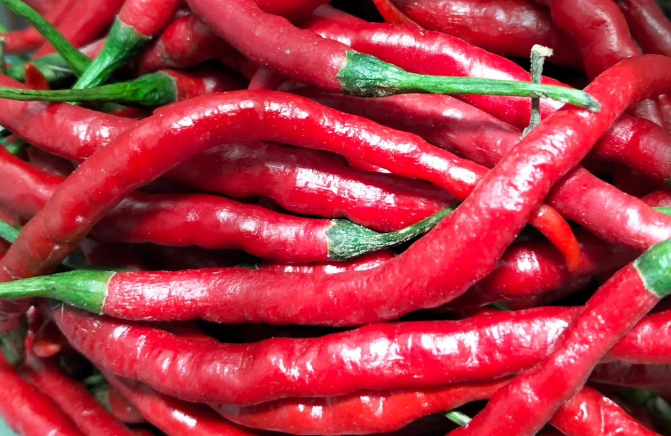 Cabe Merah
