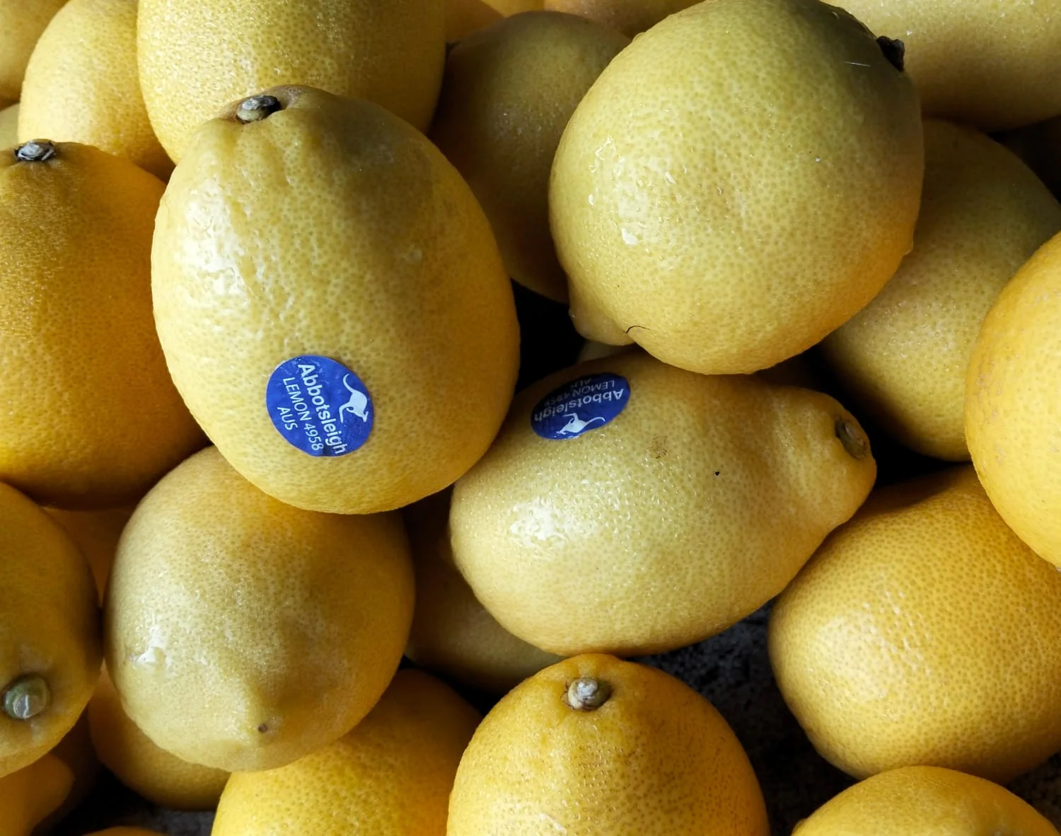 Lemon Import