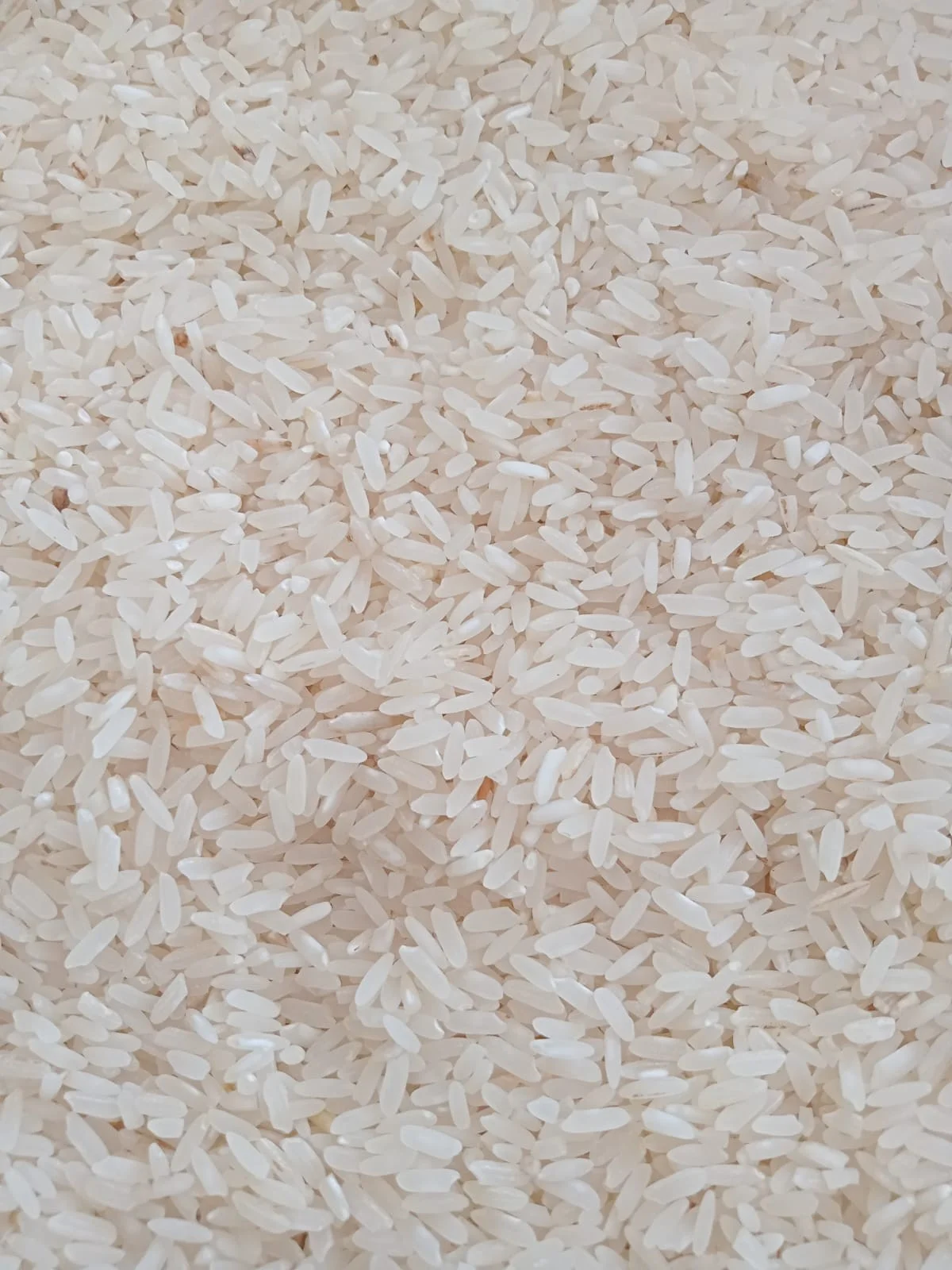 BERAS PULEN TYPE B