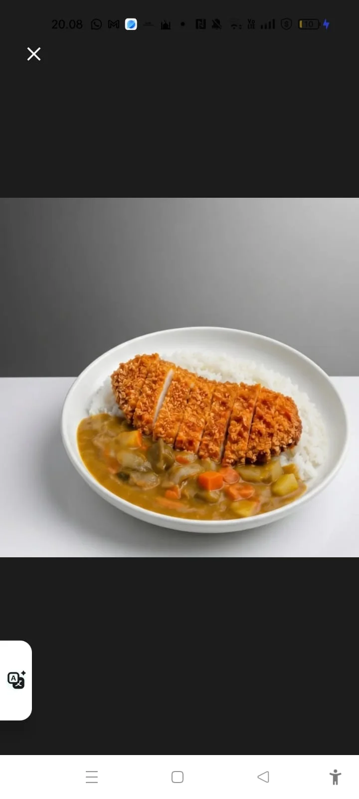 Curry Katsu DOPAMIN