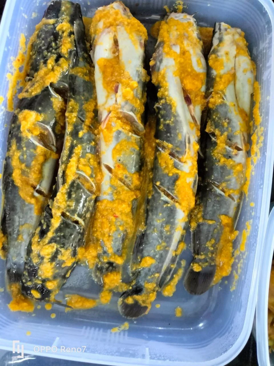 Lele marinasi
