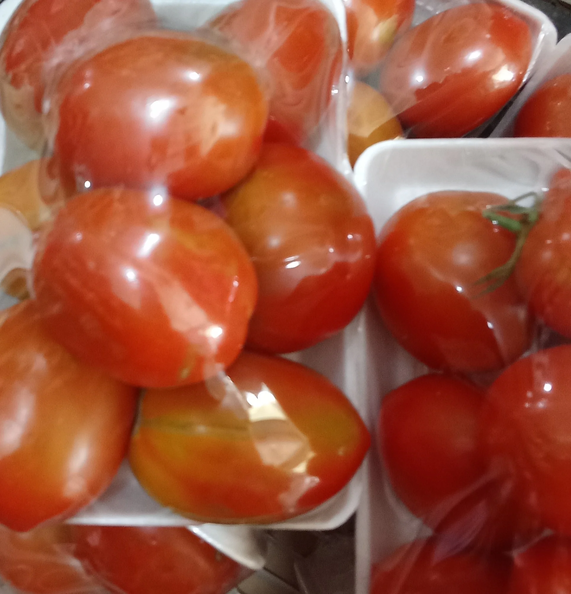 Tomat buah