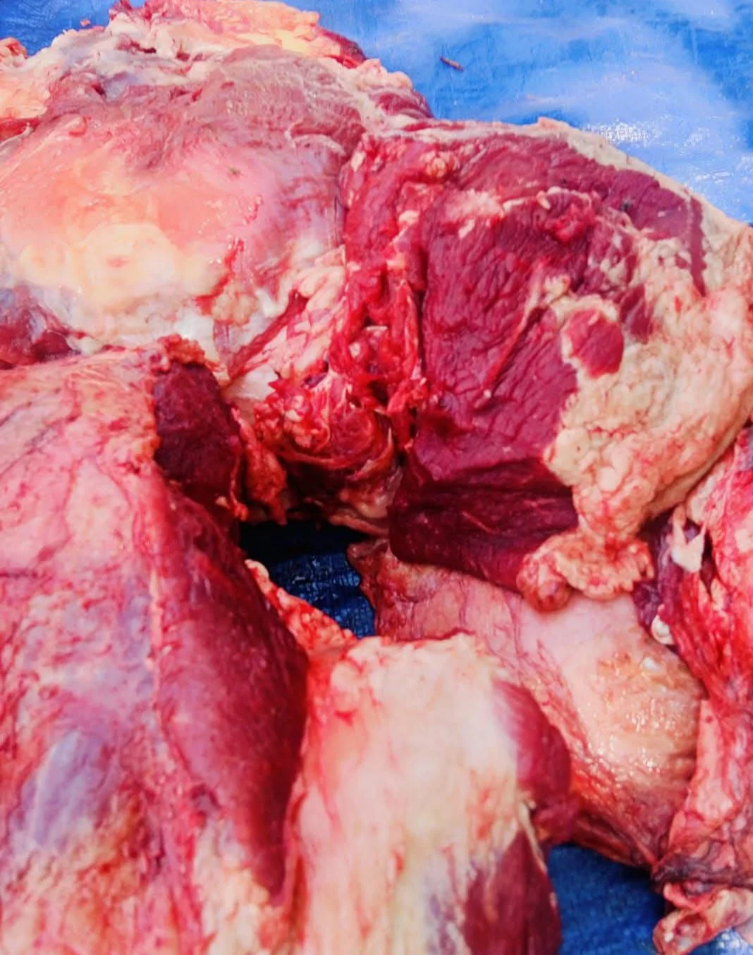 Daging sapi