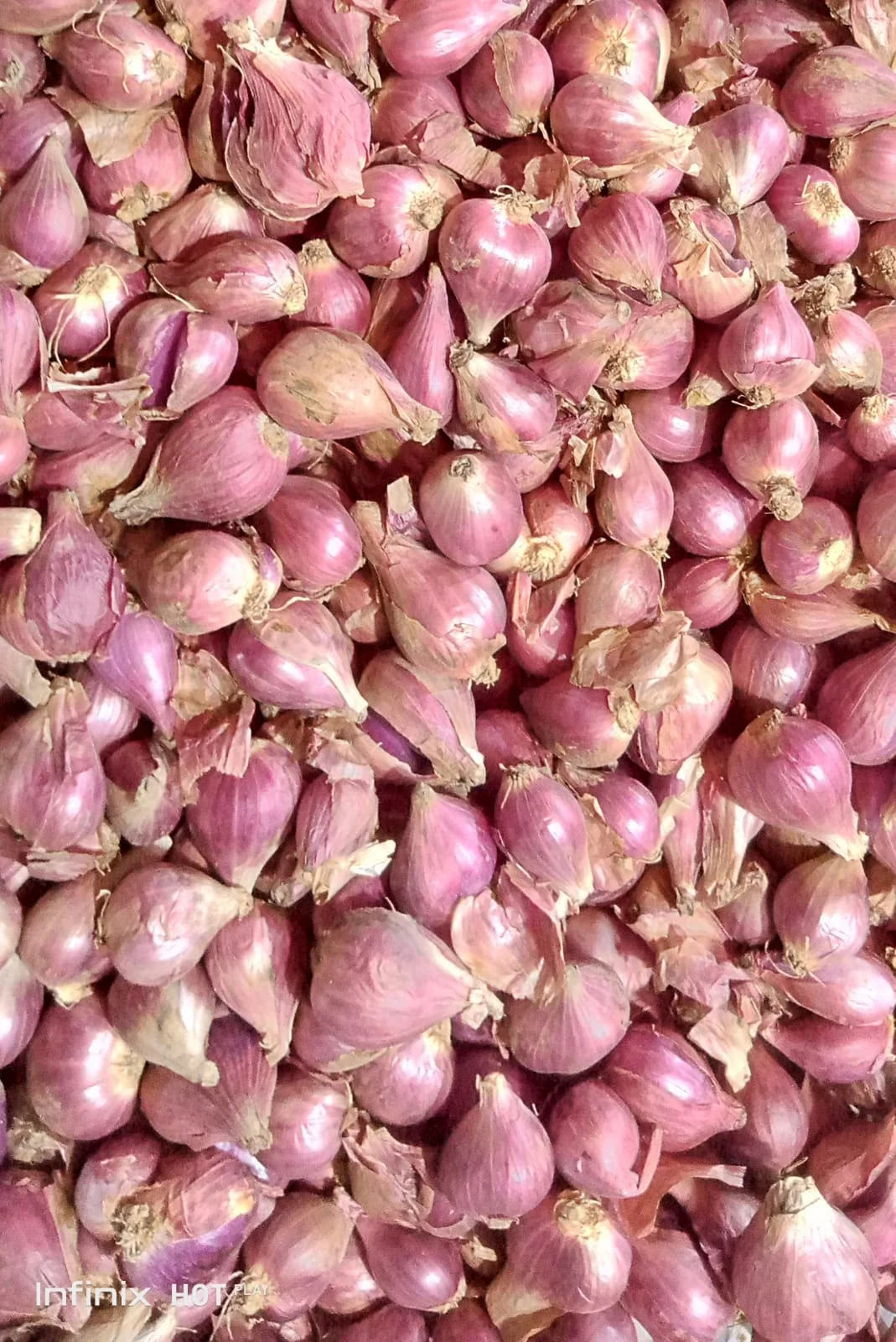 Bawang merah