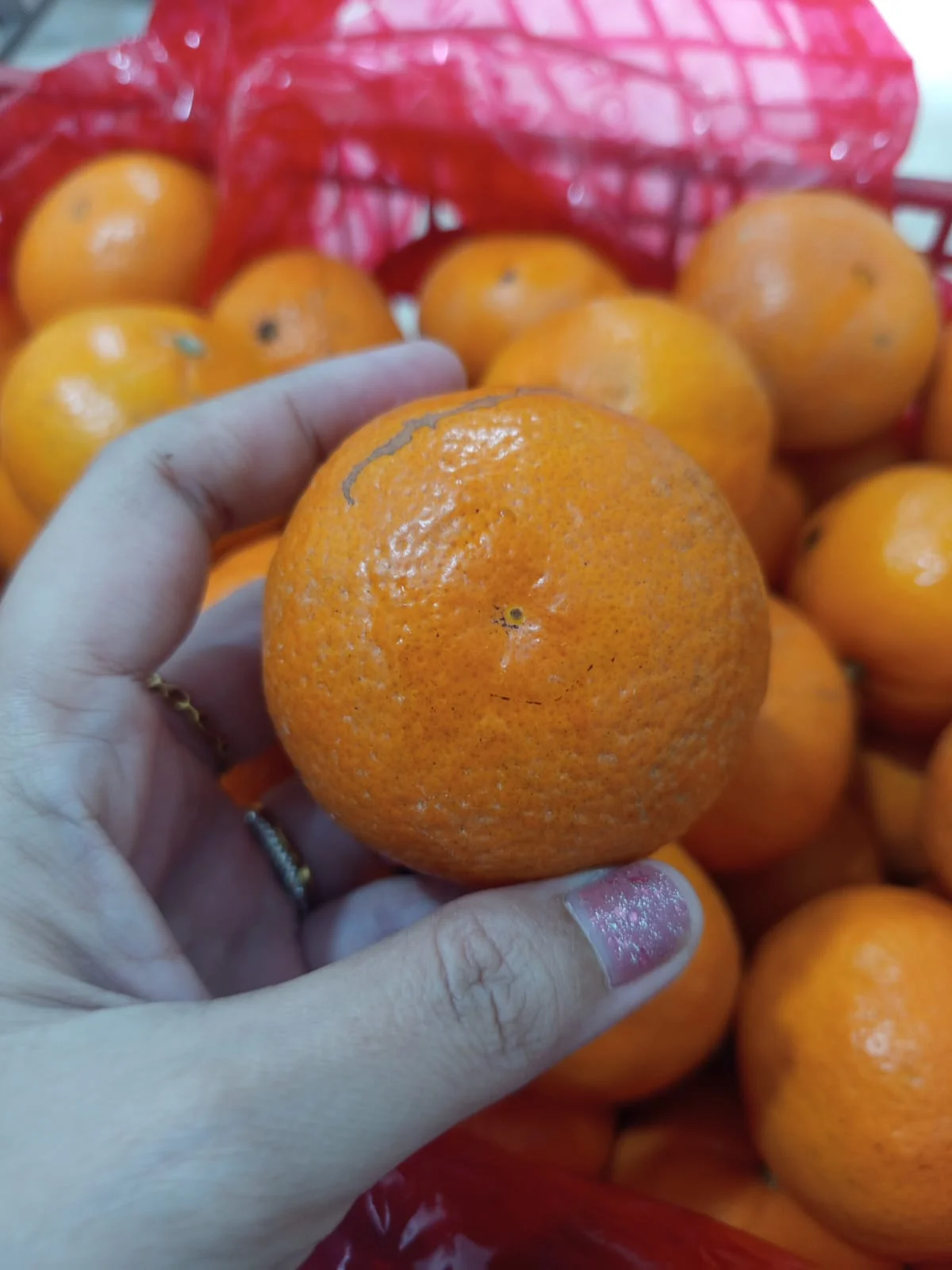 Jeruk wogan mandarin