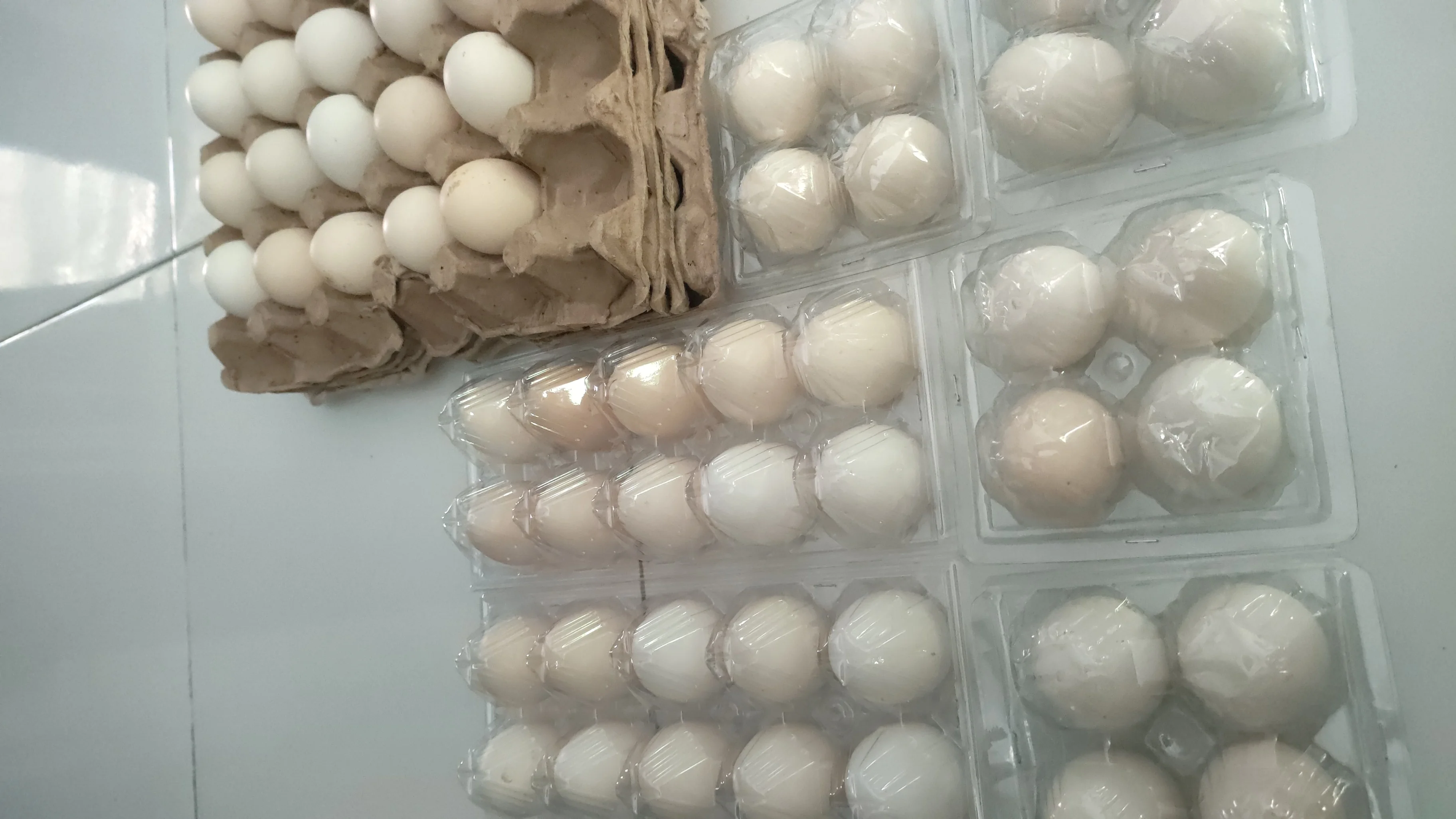 Telur ayam omega