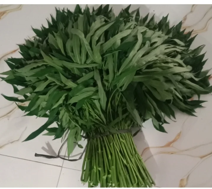 Daun Ubi panjang