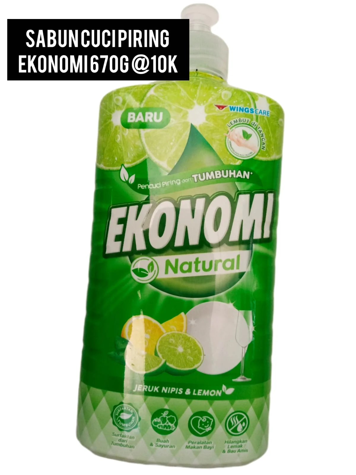 EKONOMI ( sabun cuci piring )