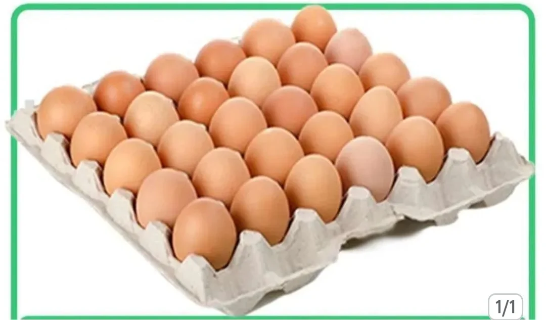 TELUR AYAM NEGERI