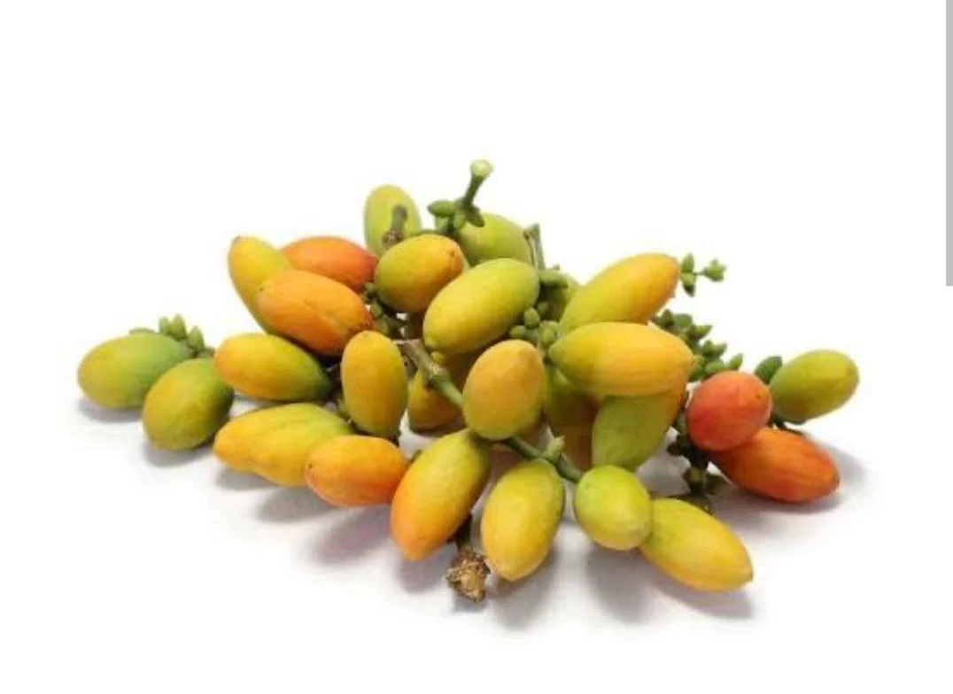 Buah ninjo