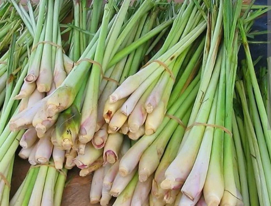 Daun sereh