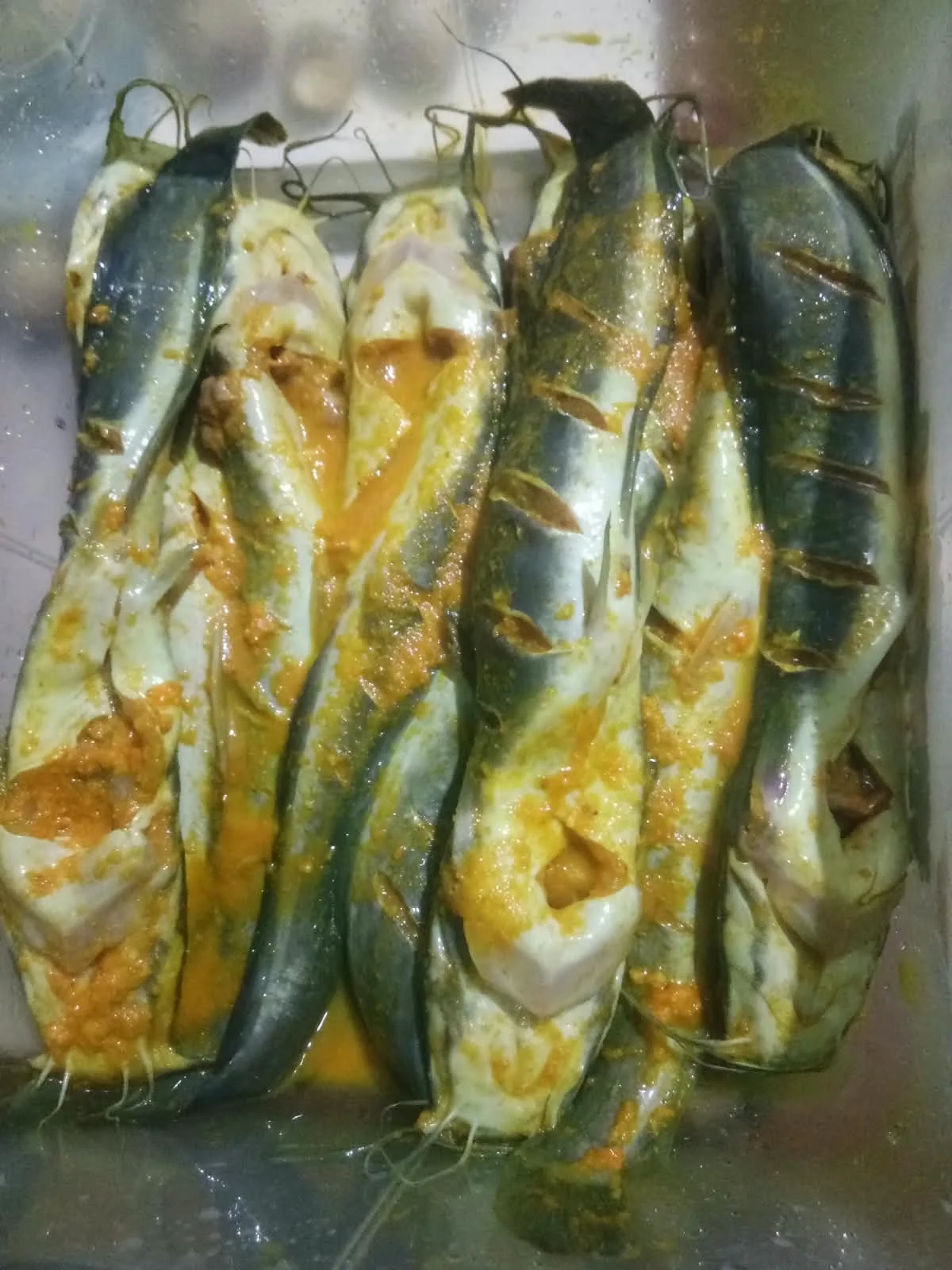 Ikan lele marinasi