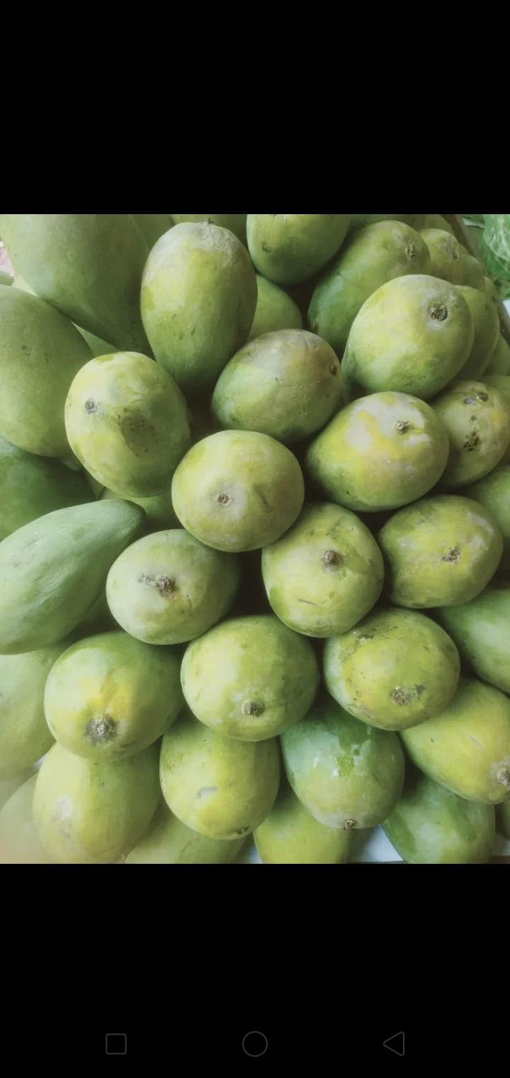 Mangga Arumanis