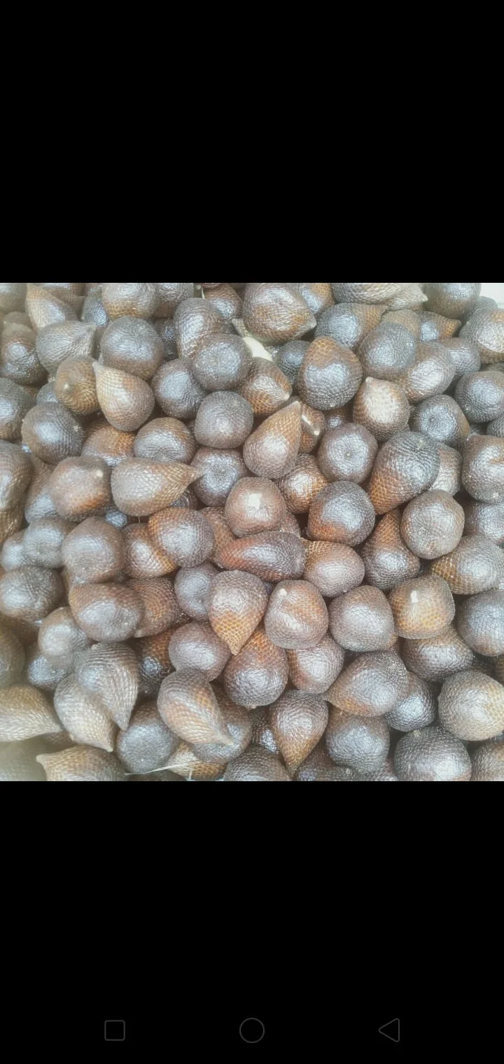 Salak