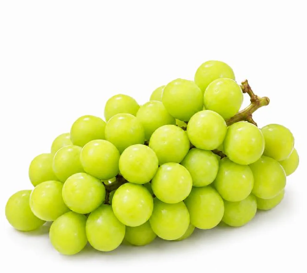 Anggur Shine Muscat