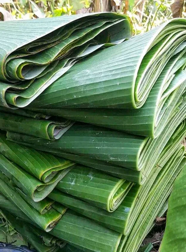 Daun pisang