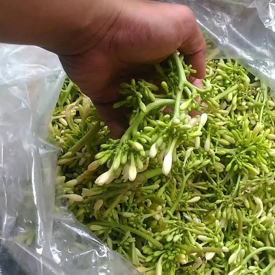 Bunga Pepaya