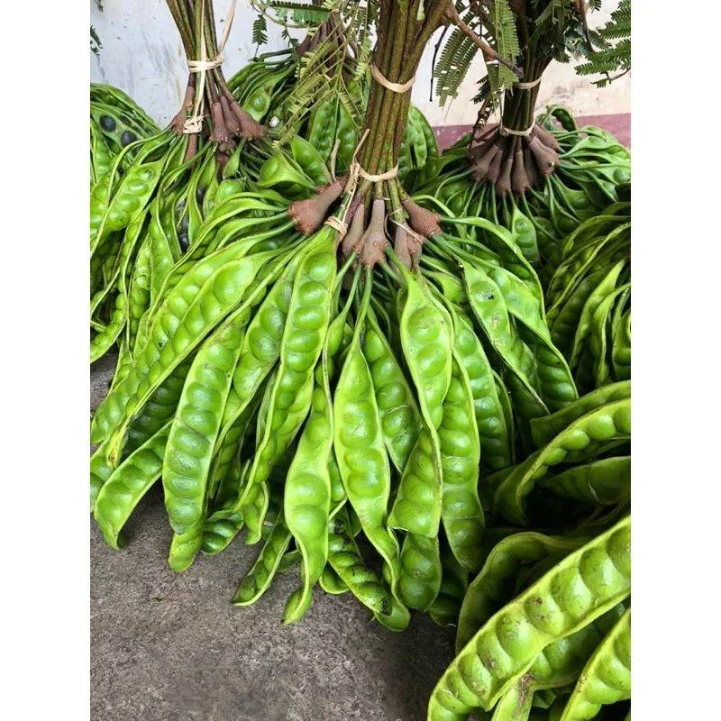 Petai