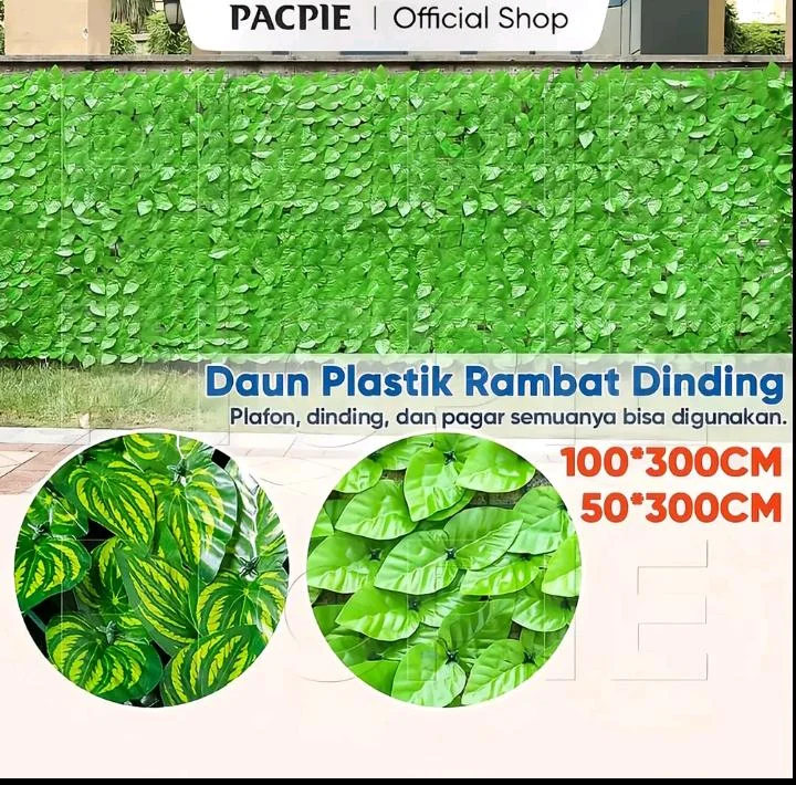 Daun platik rambat dinding