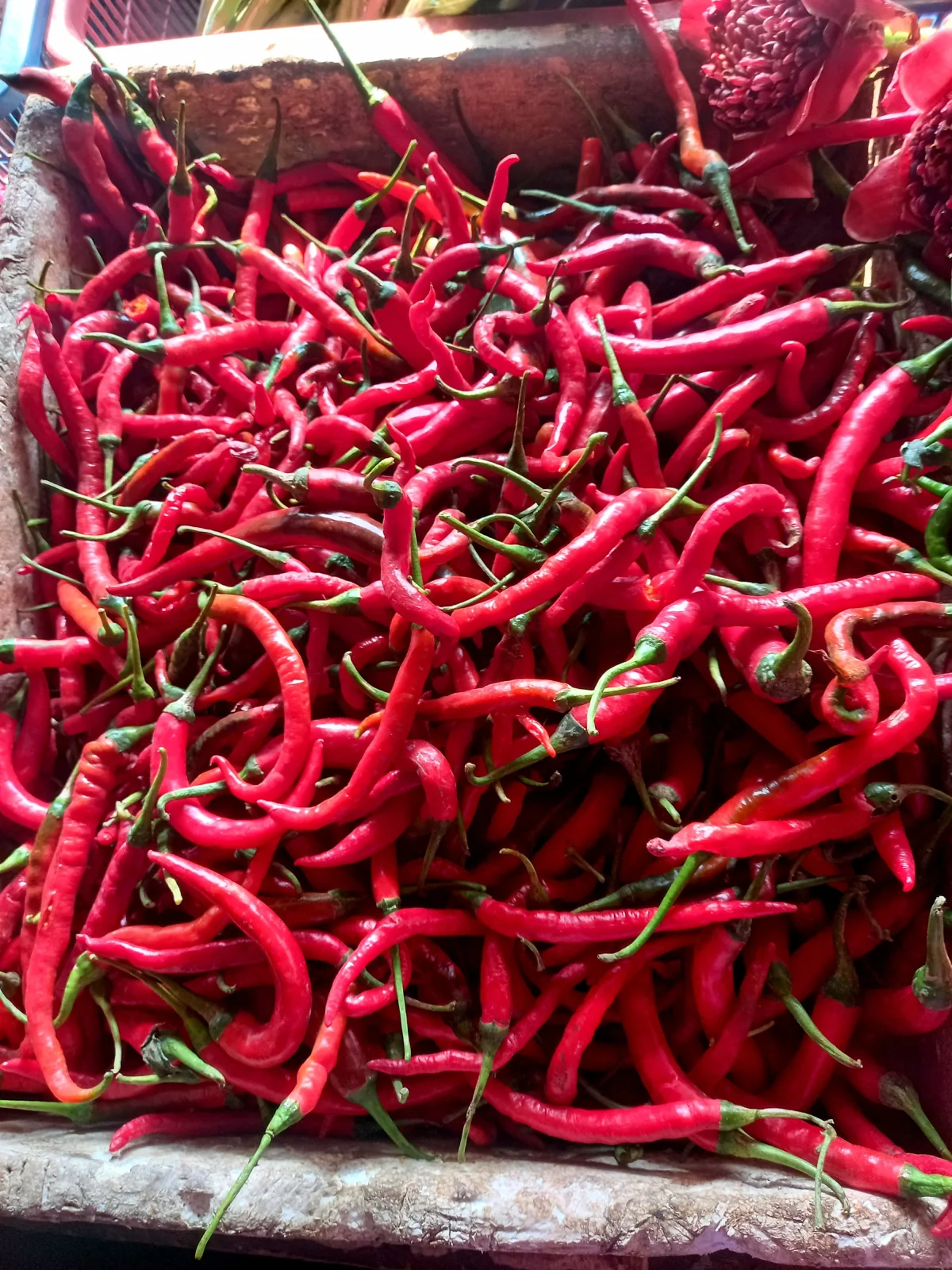 Cabe merah