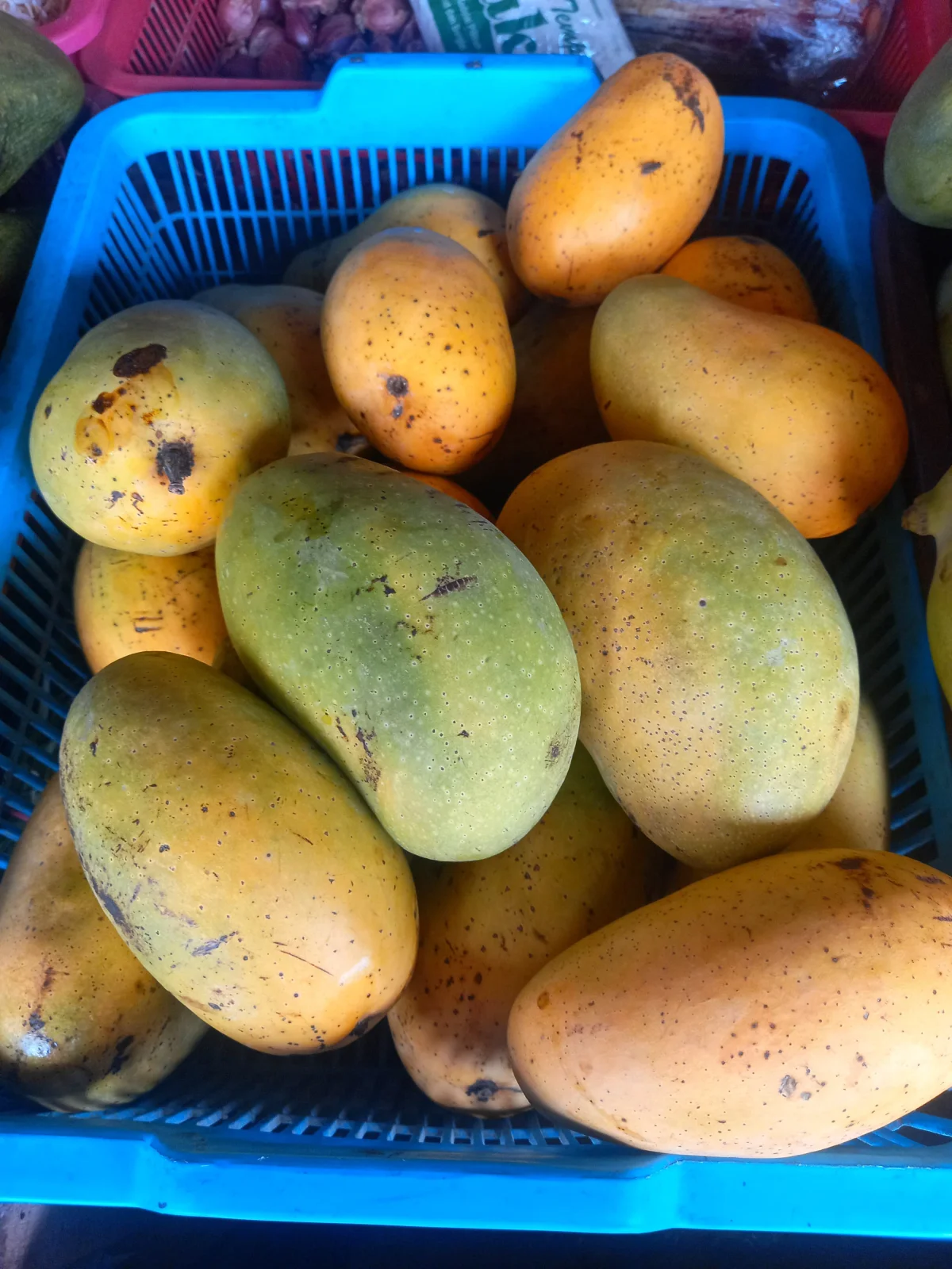 Mangga Manalagi