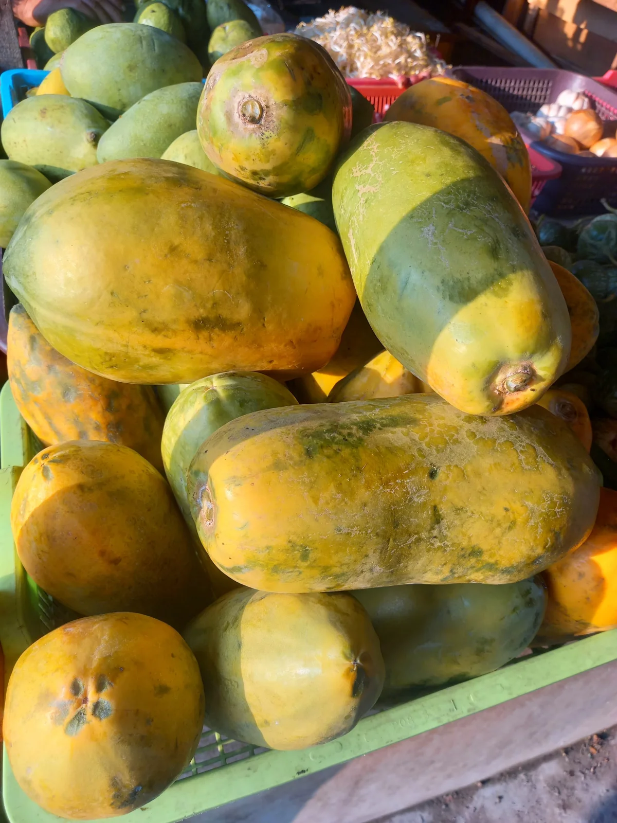 Pepaya