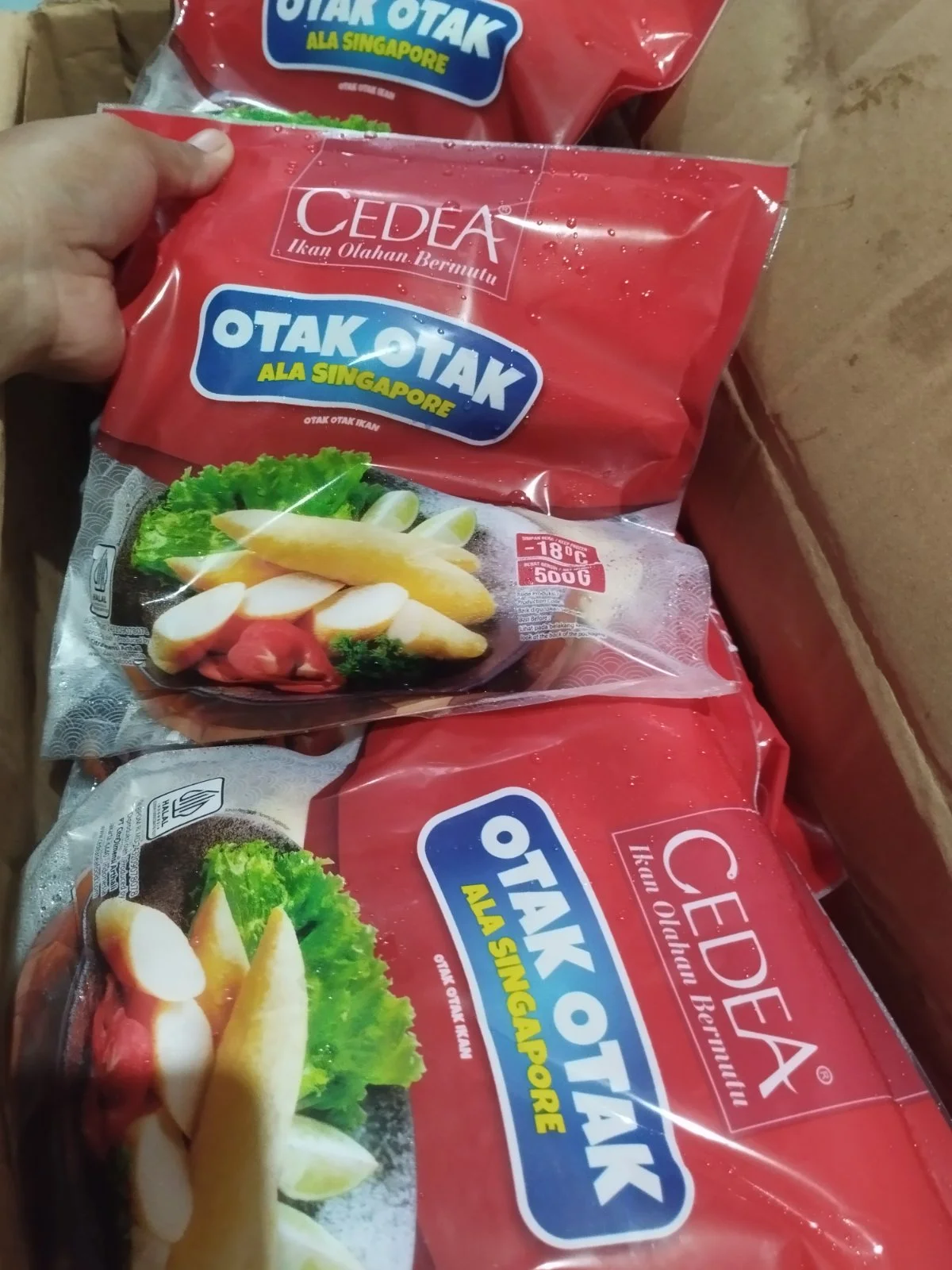 Otak2