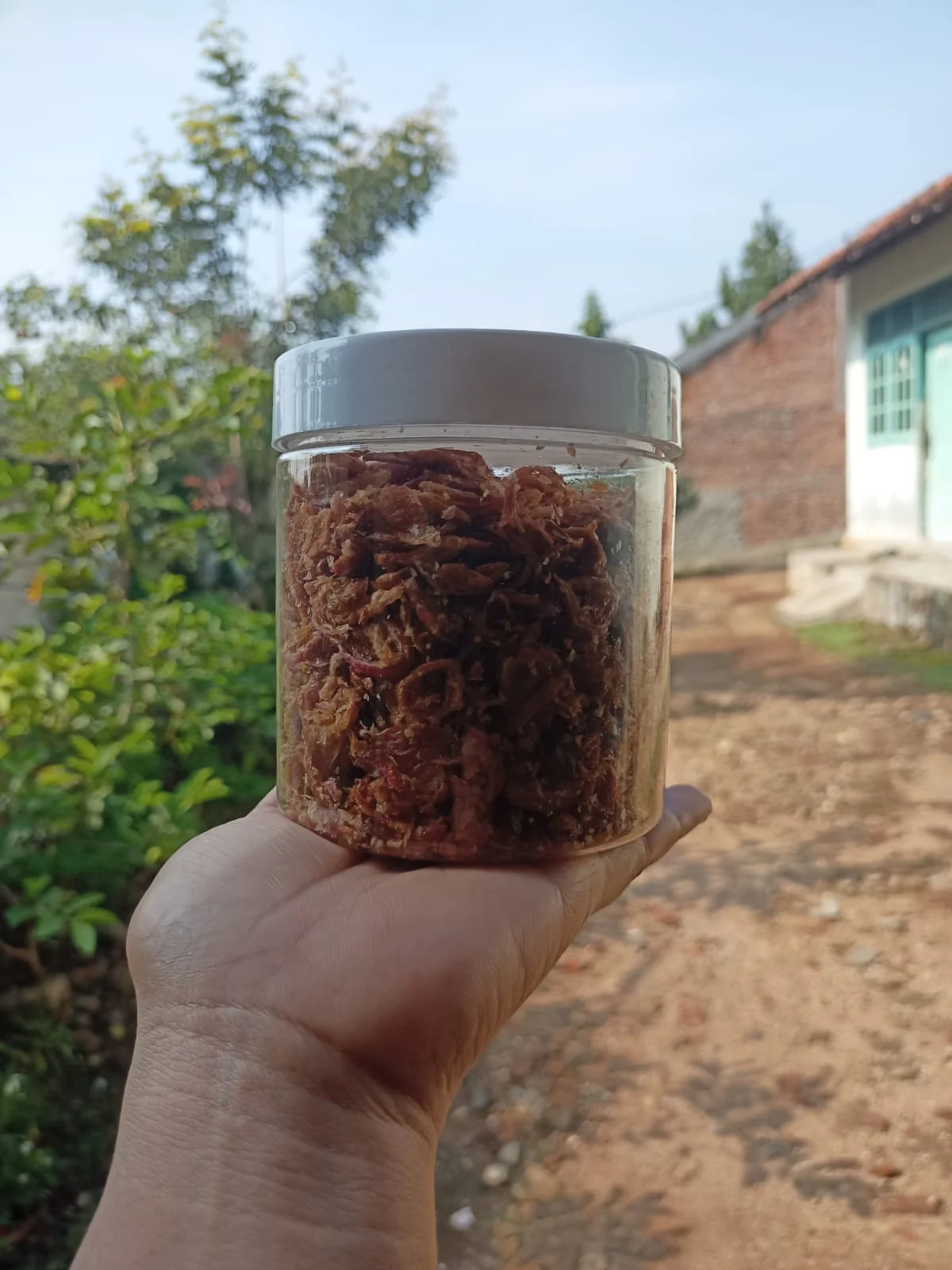 Bawang goreng ori