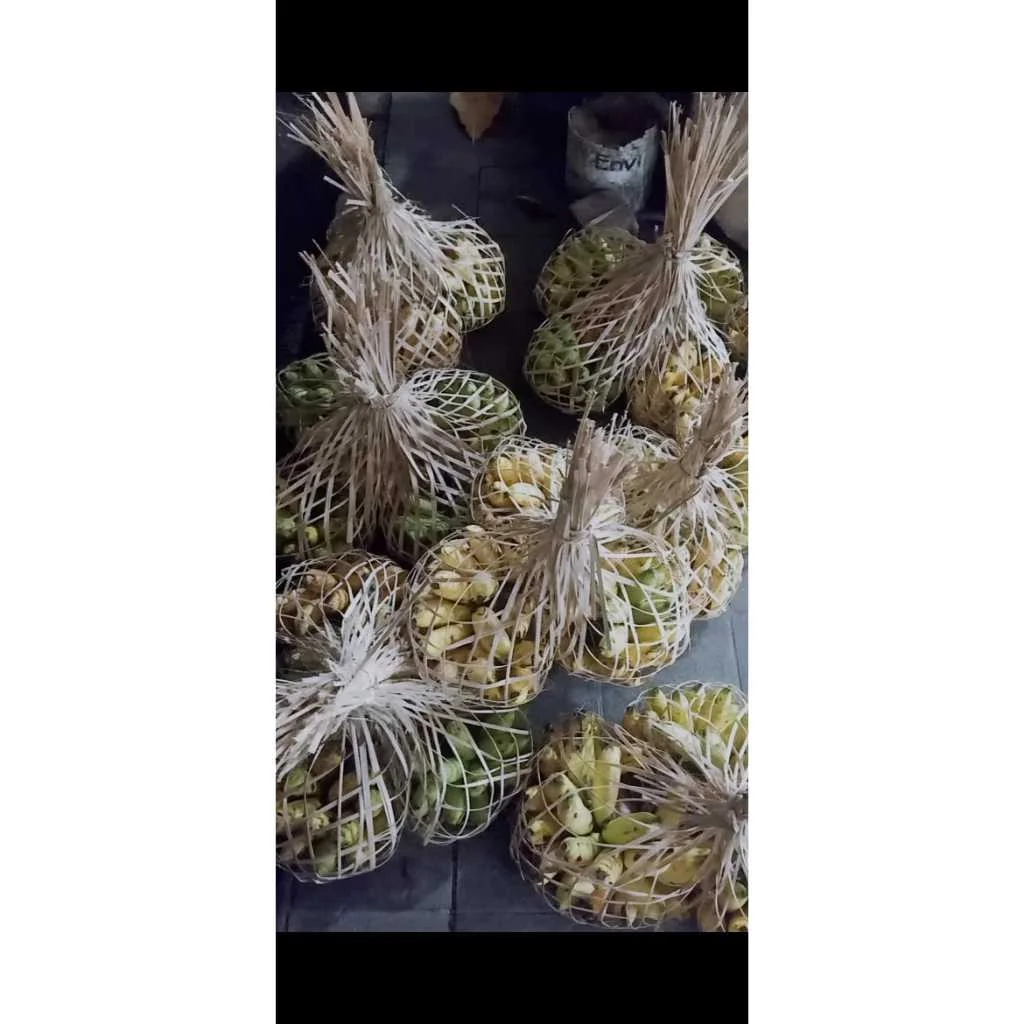 Pisang morlin