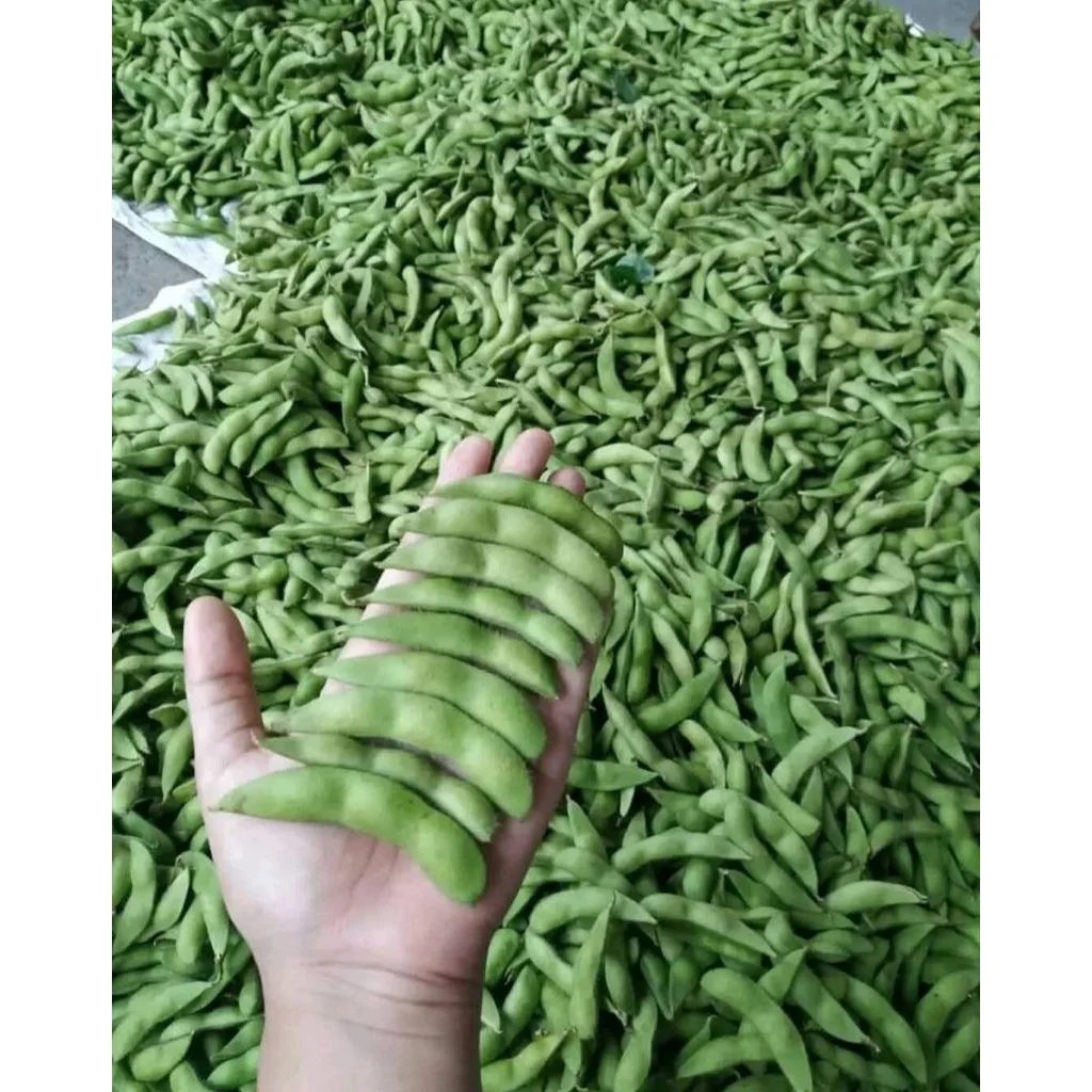 Edamame