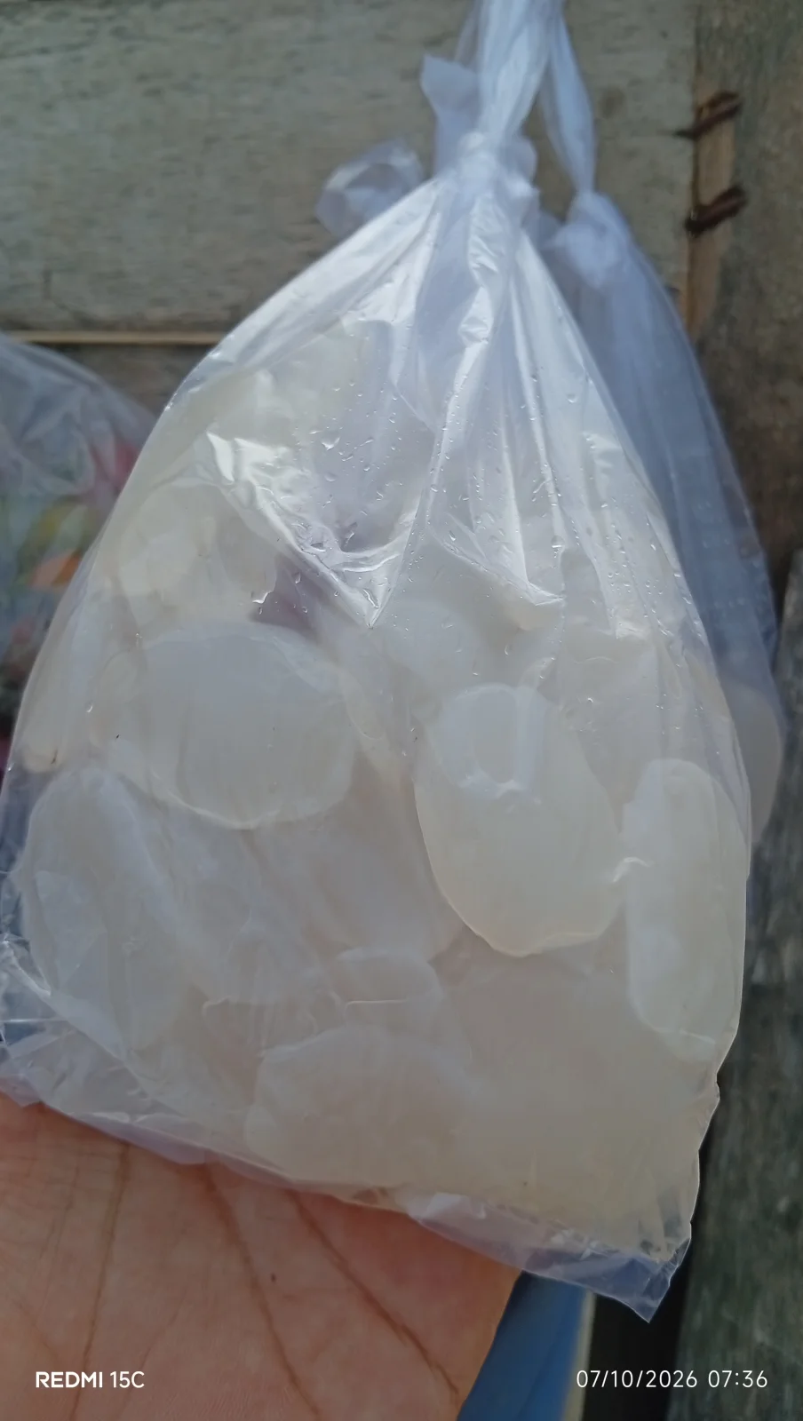 Kolang Kaling putih