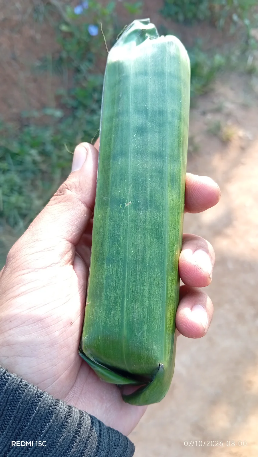 Gemblong/jaddah
